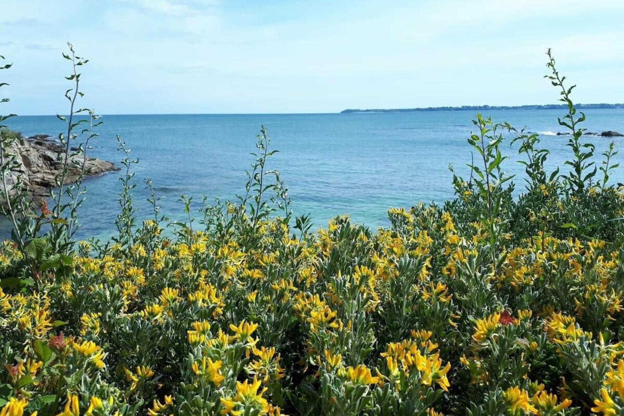 Charmant T3 Cosy A 2 Pas Du Bourg Et Des Plages 라모르플라주 외부 사진